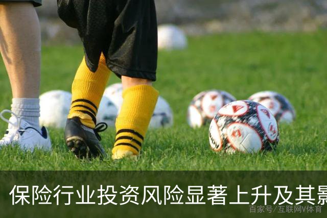保险行业投资风险显著上升及其影响分析